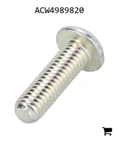 AGCO ACW4989820 Болт с полукруглой головкой и шестигранным углублением