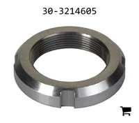 AGCO 30-3214605 Гайка