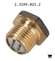 AGCO 2.3199.021.2 Заглушка