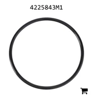 AGCO 4225843M1 Уплотнительное кольцо корпуса термостата