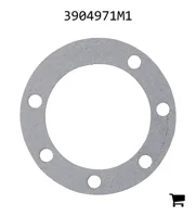 AGCO 3904971M1 Шарнир