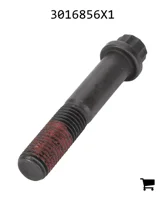 AGCO 3016856X1 Винт с 12-гранной головкой с фланцем