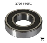 AGCO 3705669M1 Шариковый подшипник