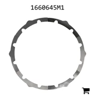 AGCO 1660645M1 Шайба