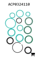 AGCO ACP0324110 Комплект уплотнений