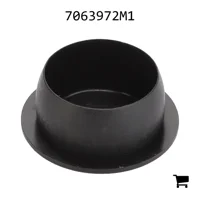 AGCO 7063972M1 Заглушка