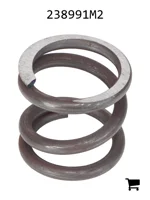 AGCO 238991M2 Пружина