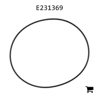 AGCO E231369 Уплотнительное кольцо