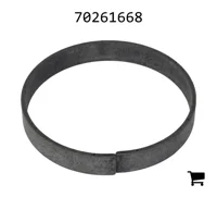 AGCO 70261668 Кольцо