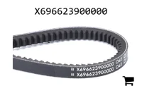 AGCO X696623900000 Ремень клиновой