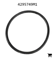 AGCO 4295749M1 Уплотнительное кольцо