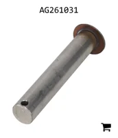 AGCO AG261031 Палец