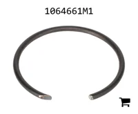 AGCO 1064661M1 Кольцо