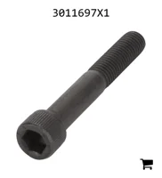 AGCO 3011697X1 Винт с цилиндрической головкой и шестигранным углублением