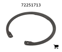 AGCO 72251713 Стопорное кольцо