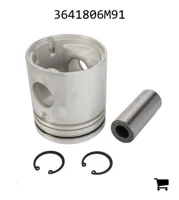 AGCO 3641806M91 Поршень