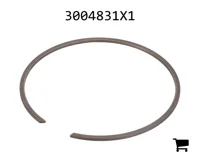 AGCO 3004831X1 Стопорное кольцо