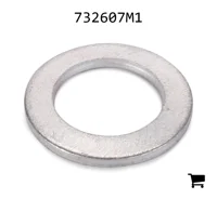 AGCO 732607M1 Шайба