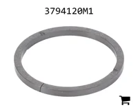 AGCO 3794120M1 Сегмент