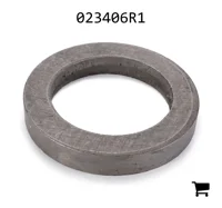 AGCO 023406R1 Шайба