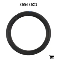 AGCO 365636X1 Уплотнительное кольцо