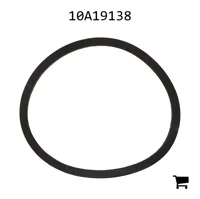 AGCO 10A19138 Прокладка
