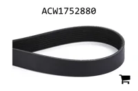 AGCO ACW1752880 Поликлиновой ремень, профиль PK8