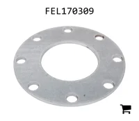 AGCO FEL170309 Шайба