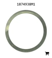 AGCO 1874938M1 Шайба