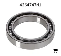 AGCO 4264747M1 Подшипниковый узел