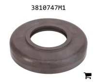 AGCO 3810747M1 Дефлектор