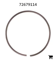 AGCO 72679114 Стопорное кольцо
