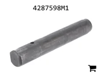 AGCO 4287598M1 Палец вилки