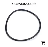 AGCO X548960200000 Уплотнительное кольцо гидравлического фильтра