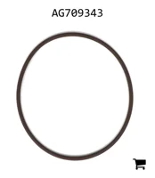 AGCO AG709343 Уплотнительное кольцо