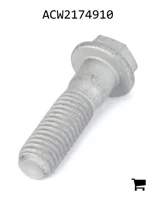 AGCO ACW2174910 Болт
