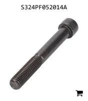 AGCO S324PF052014A Болт с цилиндрической головкой
