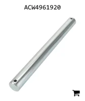 AGCO ACW4961920 Палец