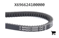 AGCO X696624100000 Ремень клиновой