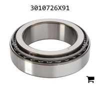 AGCO 3010726X91 Конический роликовый подшипник задней оси