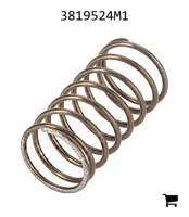 AGCO 3819524M1 Пружина