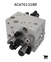 AGCO ACW7613180 Коллектор