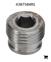AGCO 4307504M1 Заглушка