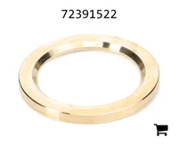 AGCO 72391522 Упорная шайба