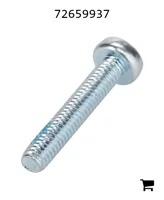 AGCO 72659937 Винт с овальной головкой