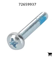 AGCO 72659937 Винт с овальной головкой