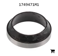 AGCO 1749471M1 Кольцо