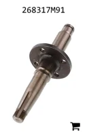 AGCO 268317M91 Вал