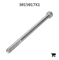 AGCO 3015017X1 Винт с внутренним шестигранником