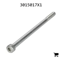 AGCO 3015017X1 Винт с внутренним шестигранником